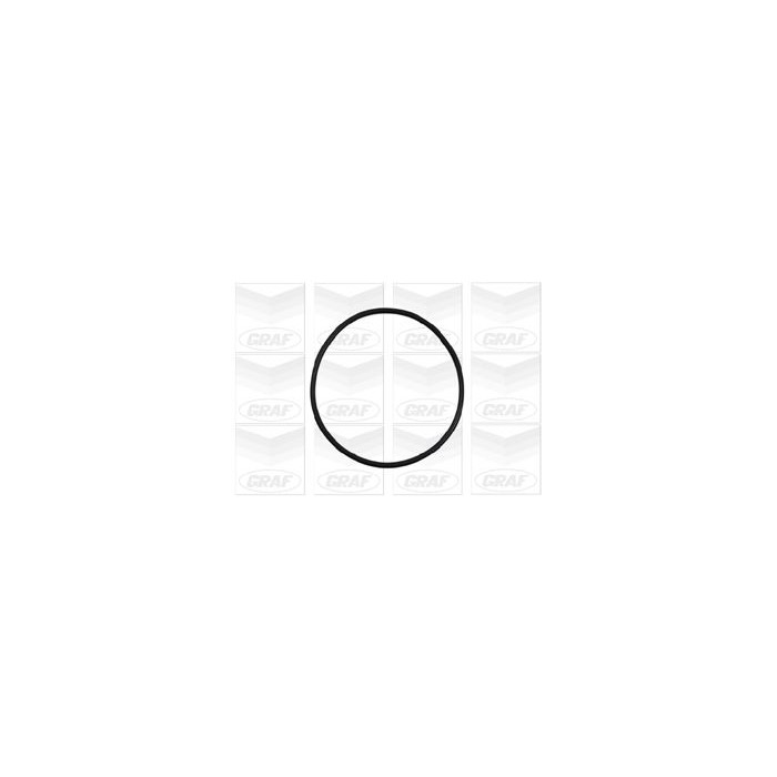 GRAF Wasserpumpe PA898