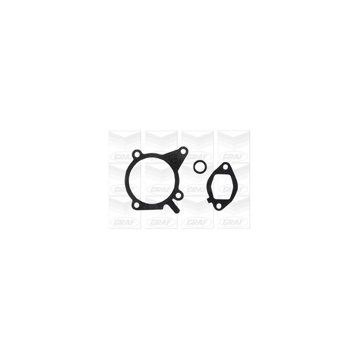 GRAF Wasserpumpe PA931