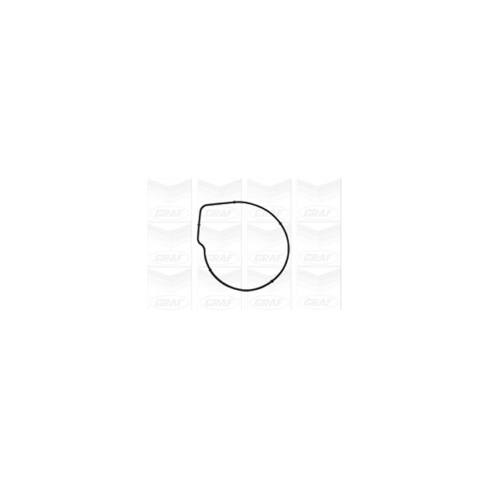 GRAF Wasserpumpe PA939