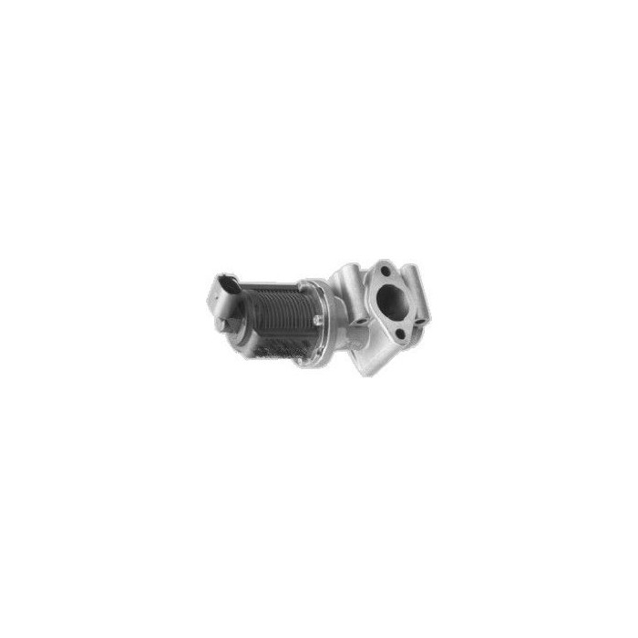 HOFFER AGR-Ventil 7518015