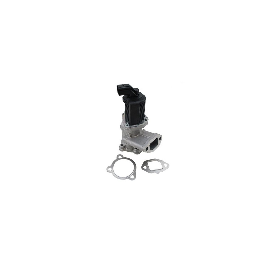 HOFFER AGR-Ventil 7518043