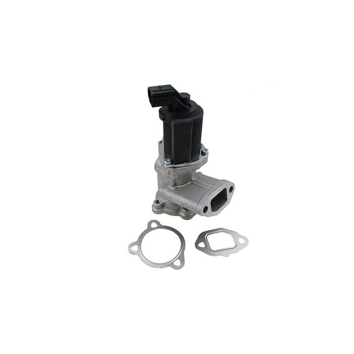 HOFFER AGR-Ventil 7518043