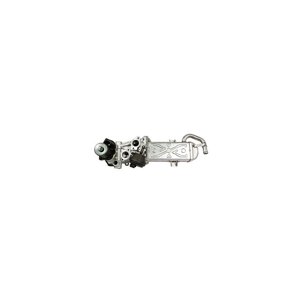 HOFFER AGR-Ventil 7518259R