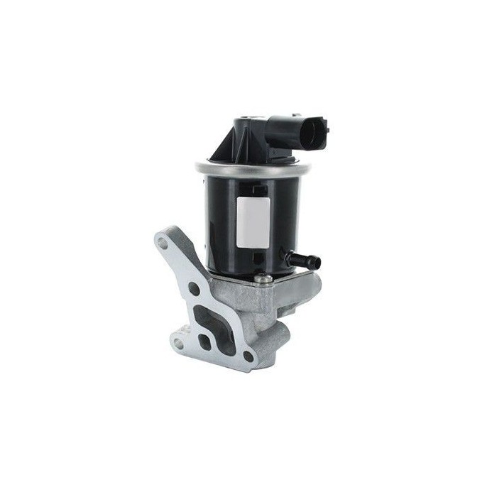 HOFFER AGR-Ventil 7518294B