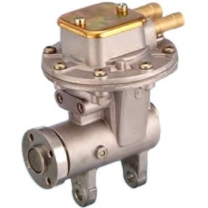 HOFFER Unterdruckpumpe, Bremsanlage 8091010