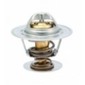 HOFFER Thermostat, Kühlmittel 8192125