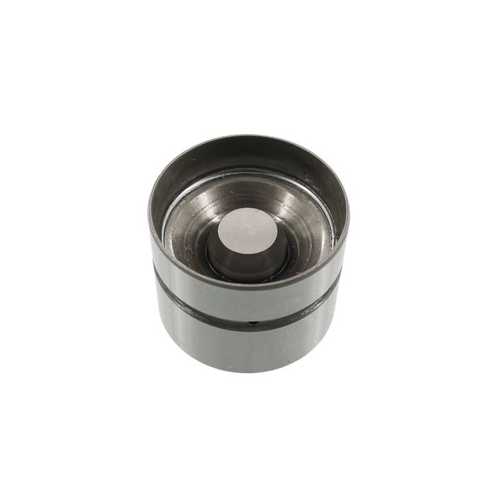 INA Ventilstößel 420005910