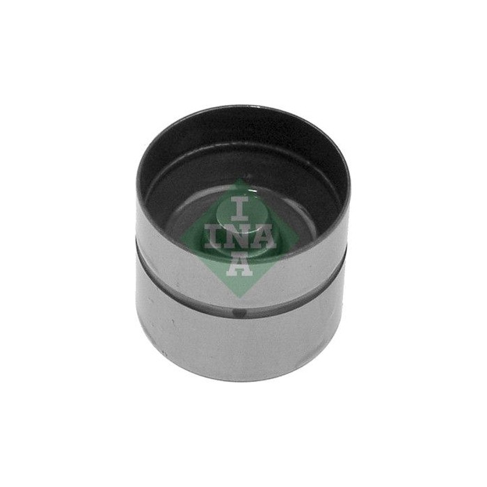 INA Ventilstößel 420006210