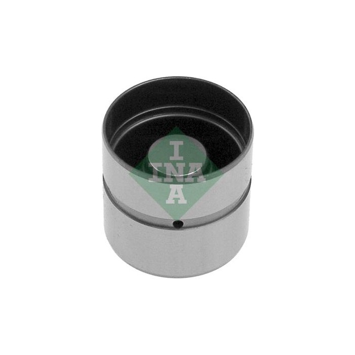 INA Ventilstößel 420006610