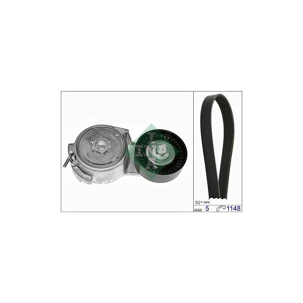 INA Keilrippenriemensatz 529001310