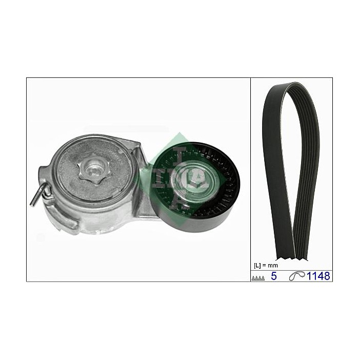 INA Keilrippenriemensatz 529001310