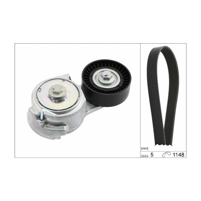 INA Keilrippenriemensatz 529001310