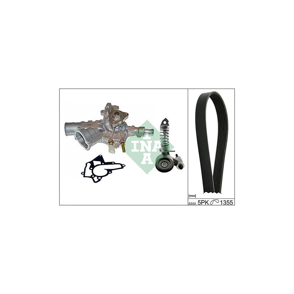 INA Wasserpumpe + Keilrippenriemensatz 529001030