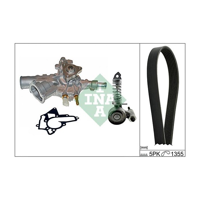 INA Wasserpumpe + Keilrippenriemensatz 529001030
