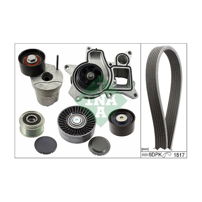 INA Wasserpumpe + Keilrippenriemensatz 529001430