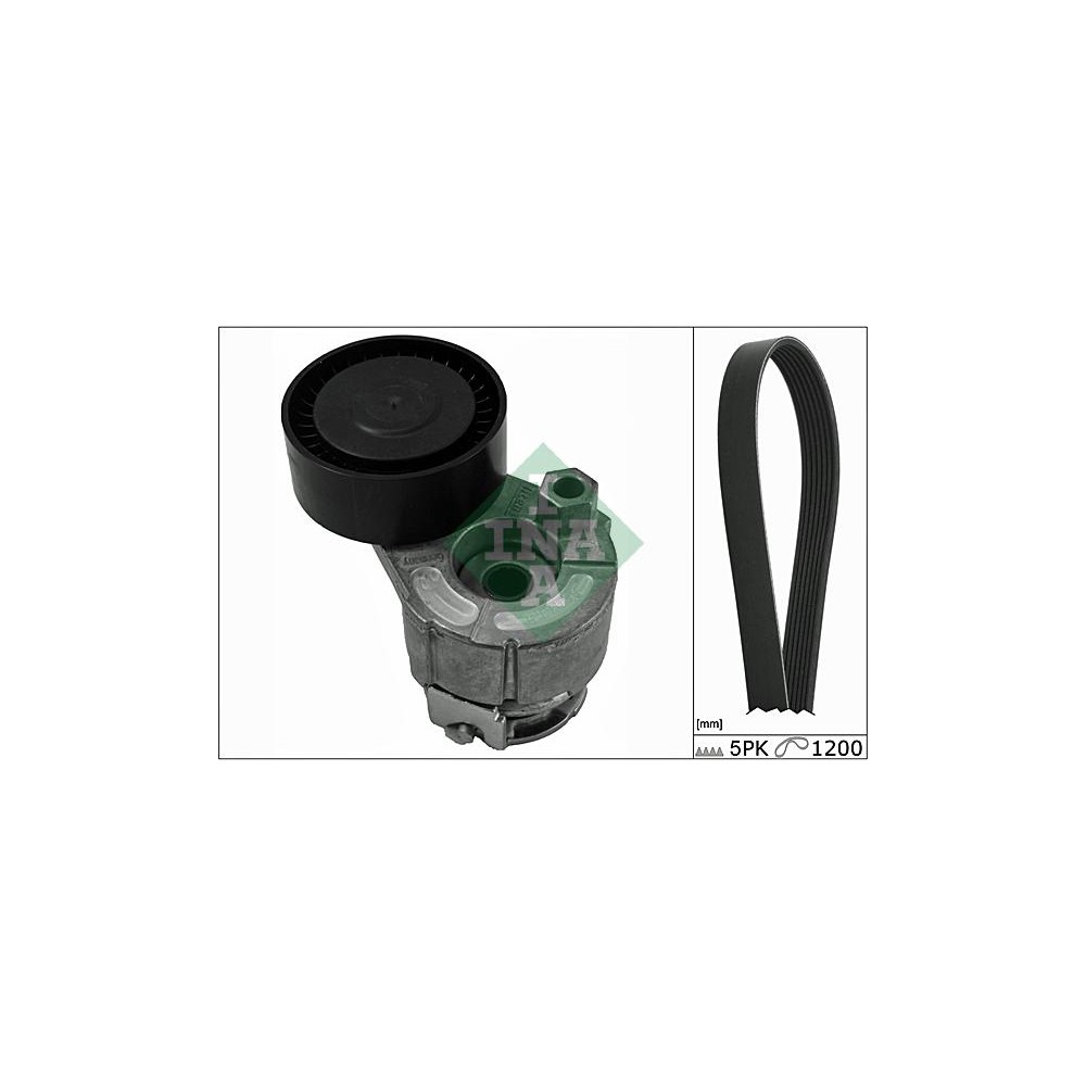 INA Keilrippenriemensatz 529001510