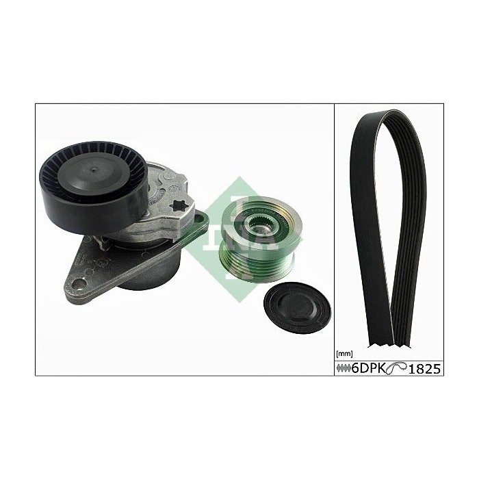 INA Keilrippenriemensatz 529003210