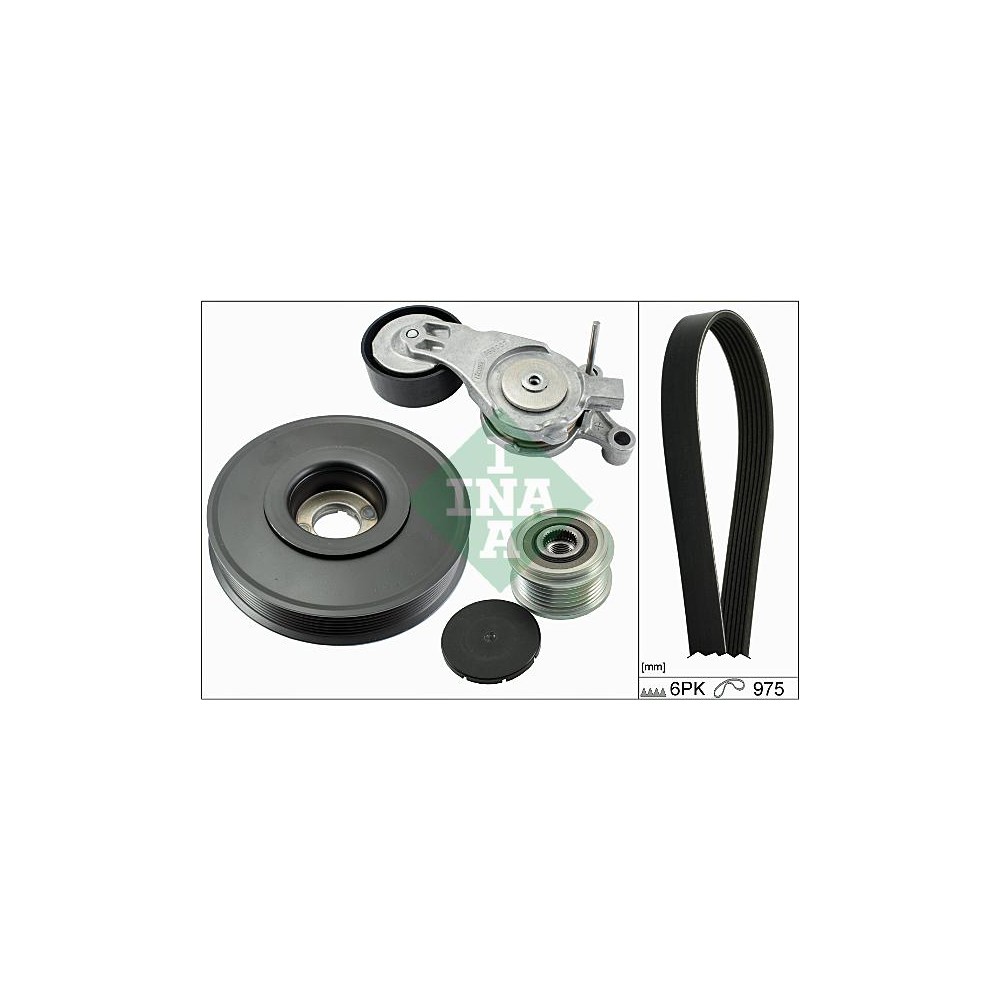 INA Keilrippenriemensatz 529006110