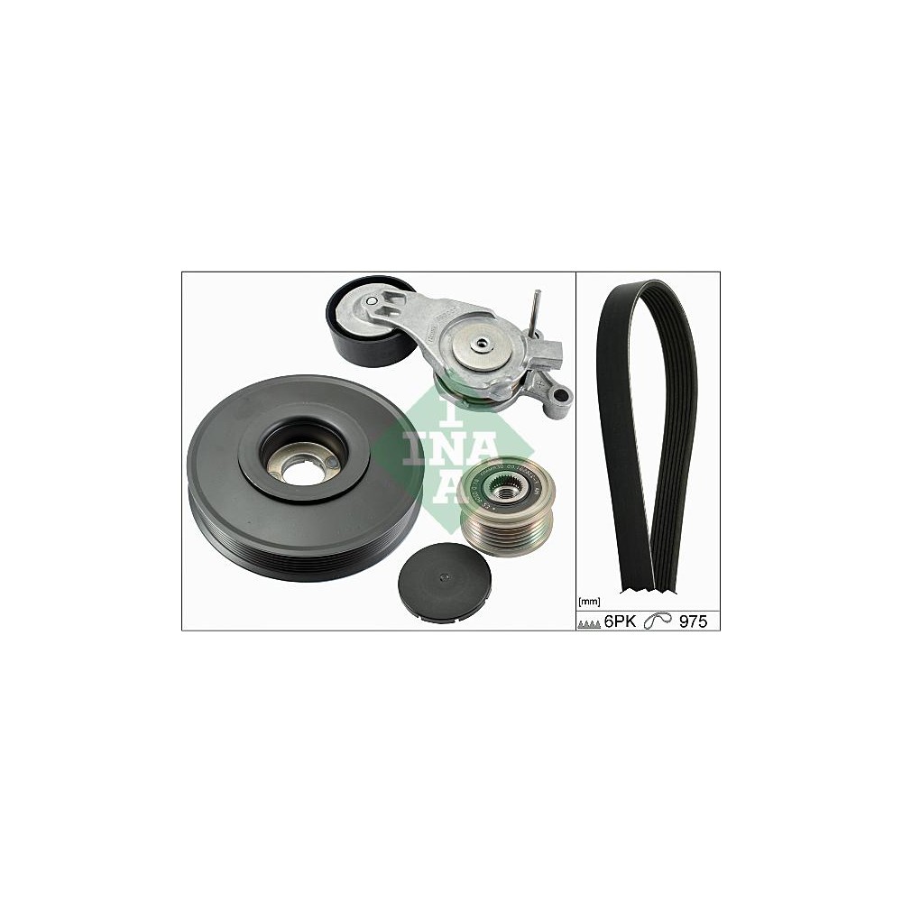 INA Keilrippenriemensatz 529006610