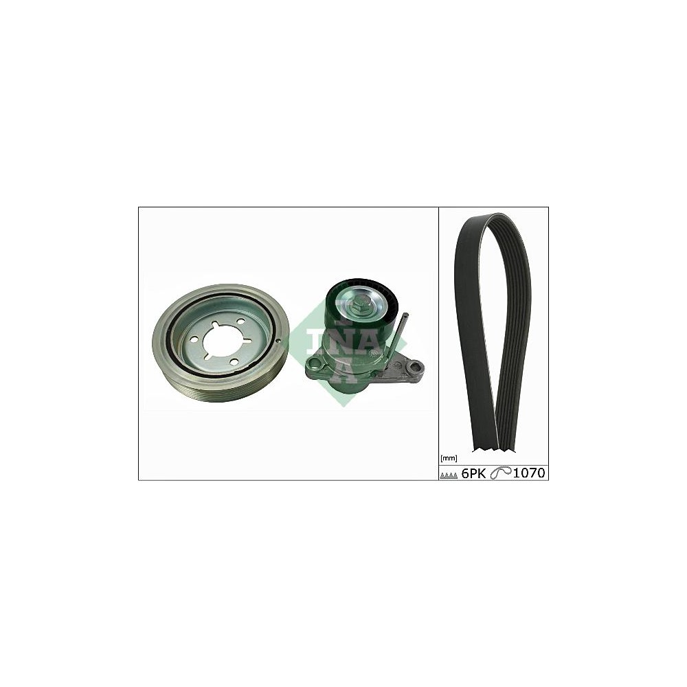 INA Keilrippenriemensatz 529007110