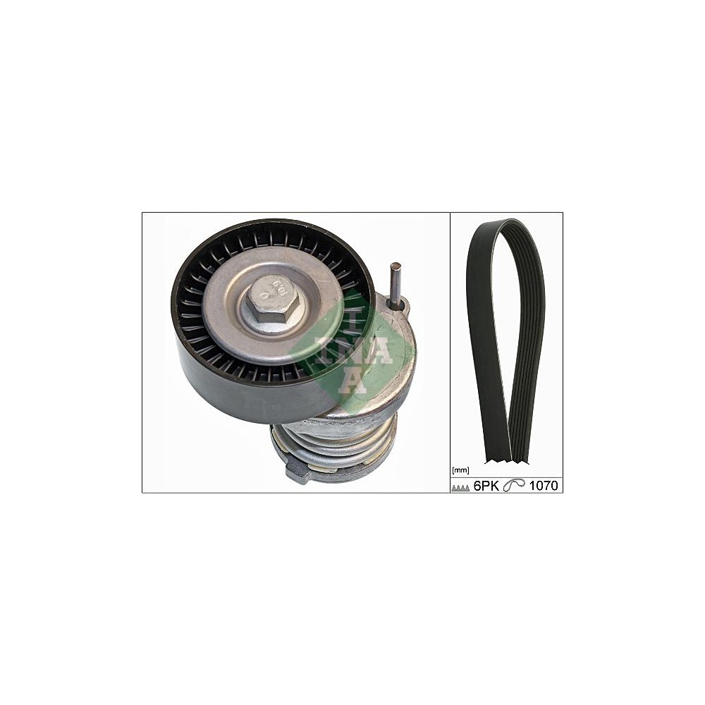 INA Keilrippenriemensatz 529008410