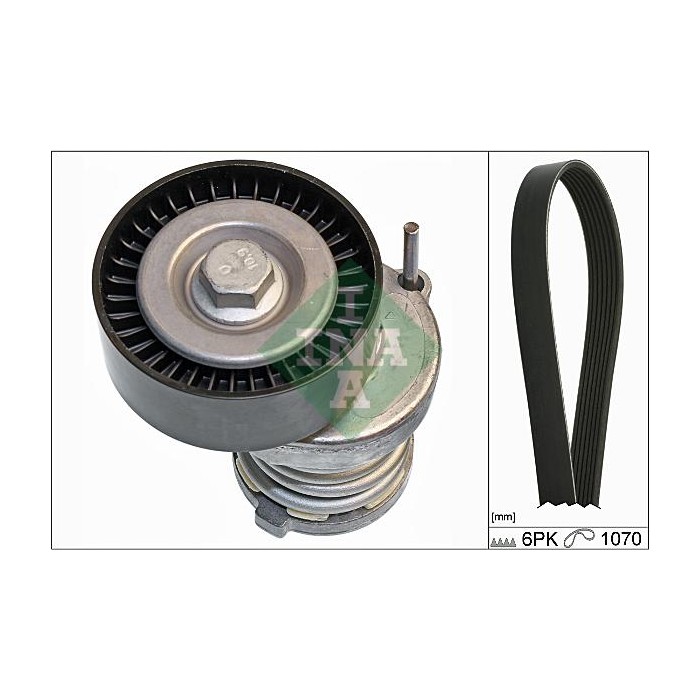 INA Keilrippenriemensatz 529008410