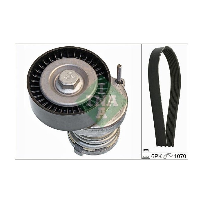 INA Keilrippenriemensatz 529008410