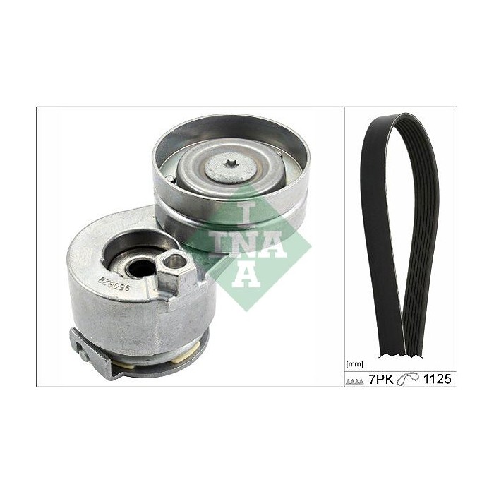 INA Keilrippenriemensatz 529008810