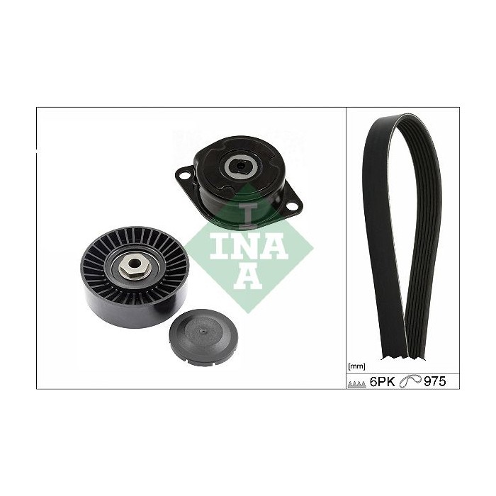 INA Keilrippenriemensatz 529008910