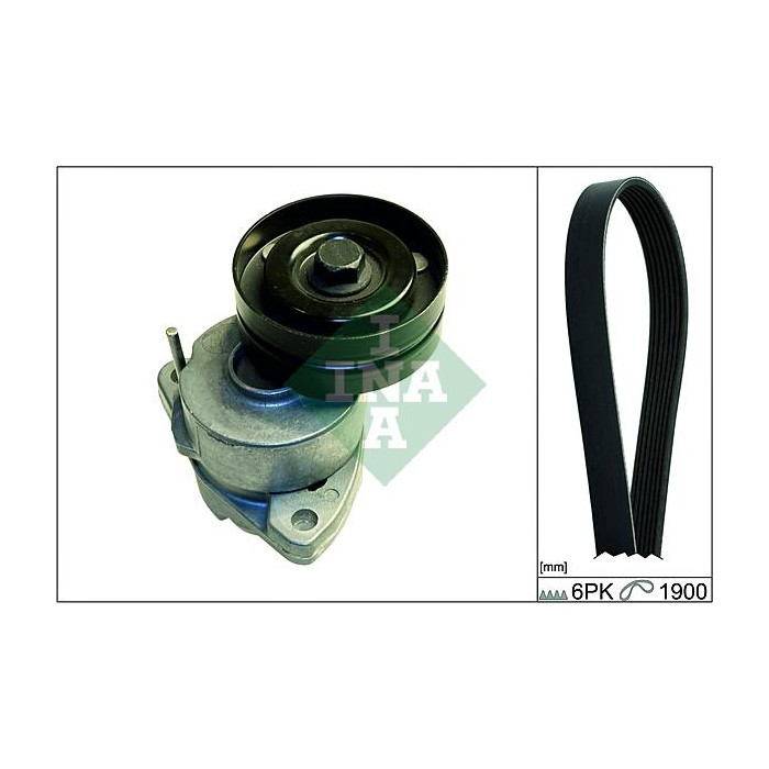 INA Keilrippenriemensatz 529009110