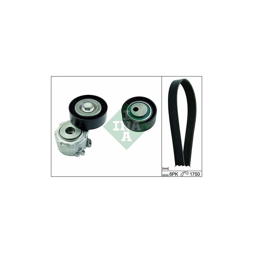 INA Keilrippenriemensatz 529009210