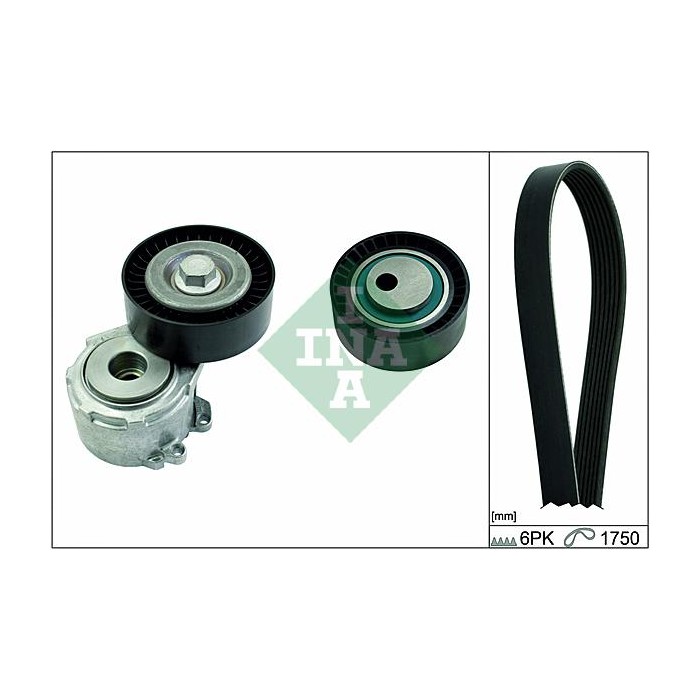 INA Keilrippenriemensatz 529009210