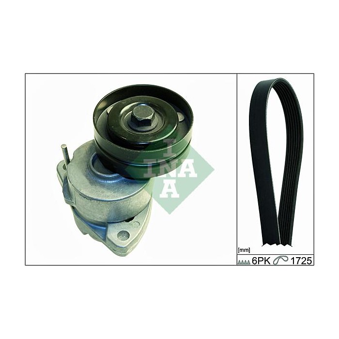 INA Keilrippenriemensatz 529009510