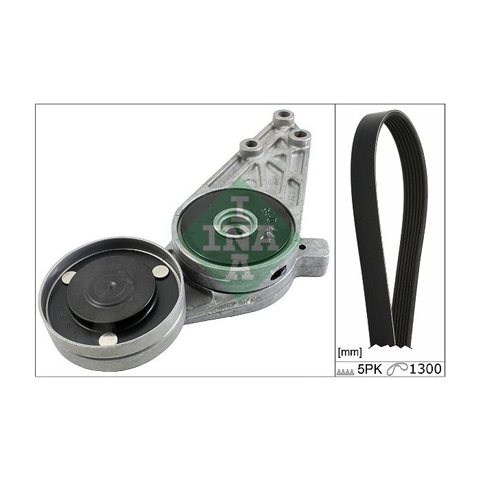 INA Keilrippenriemensatz 529009610