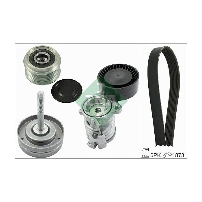 INA Keilrippenriemensatz 529010110