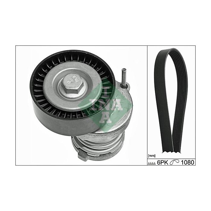 INA Keilrippenriemensatz 529010310