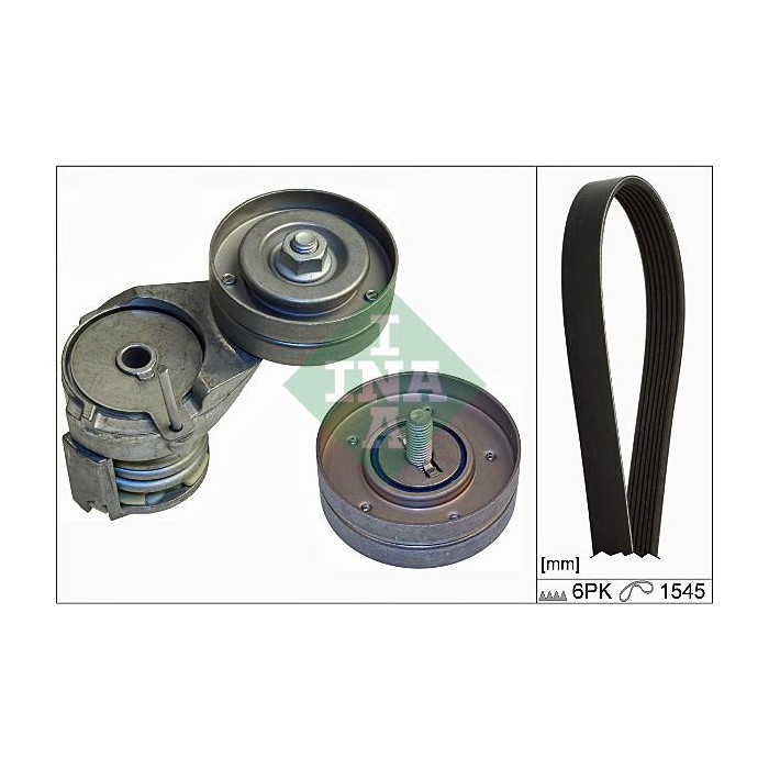 INA Keilrippenriemensatz 529010810