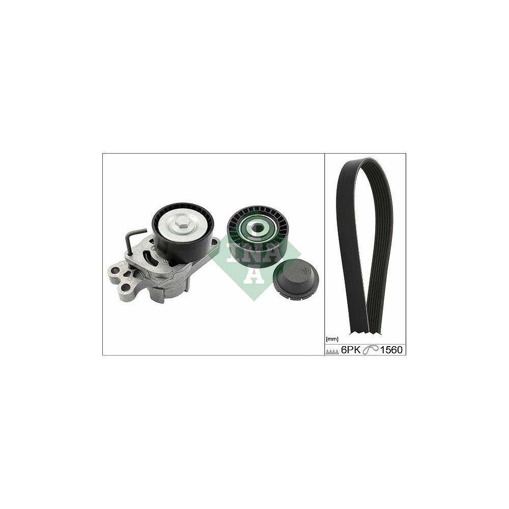 INA Keilrippenriemensatz 529010910