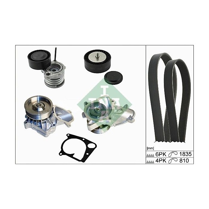 INA Wasserpumpe + Keilrippenriemensatz 529011130