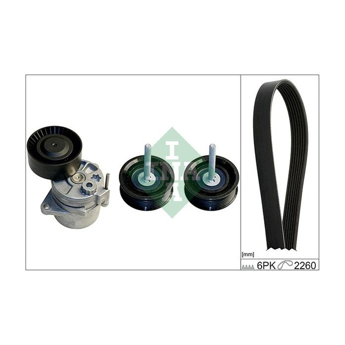 INA Keilrippenriemensatz 529011510