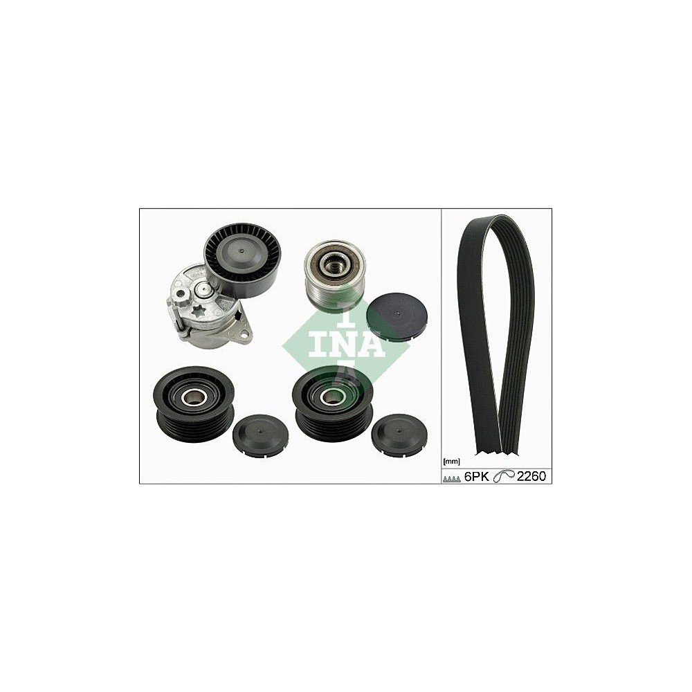 INA Keilrippenriemensatz 529013910