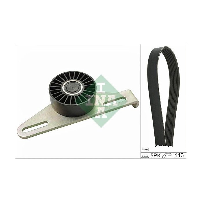 INA Keilrippenriemensatz 529014510