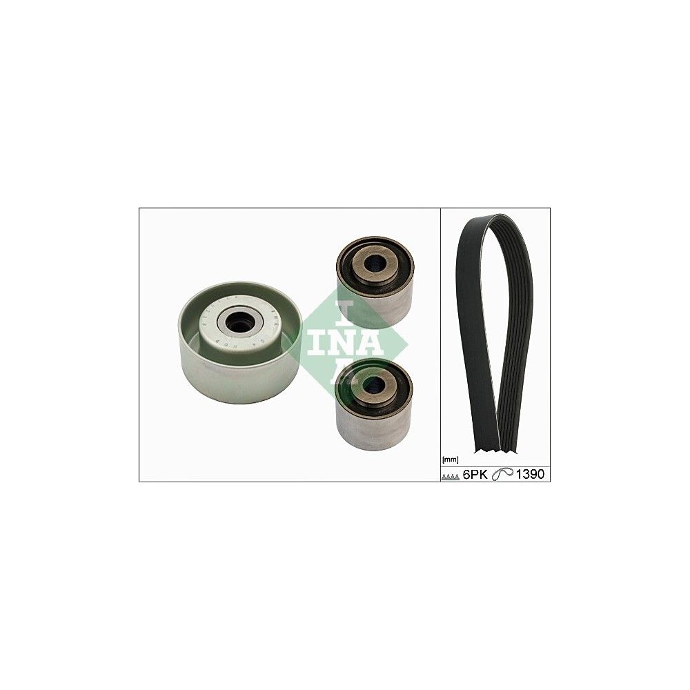 INA Keilrippenriemensatz 529015710