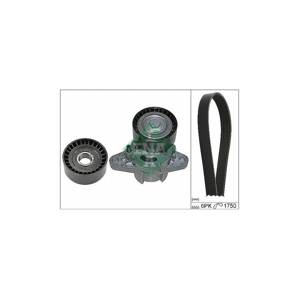 INA Keilrippenriemensatz 529016410