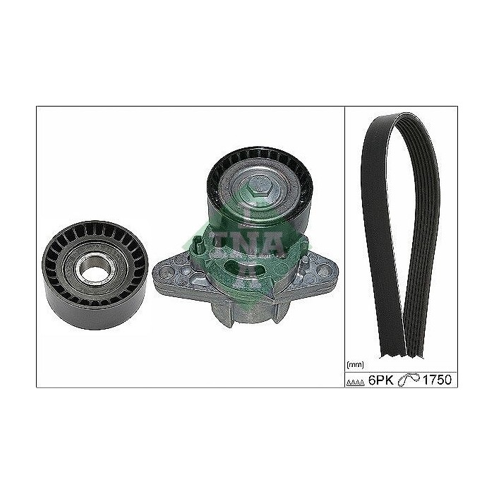 INA Keilrippenriemensatz 529016410