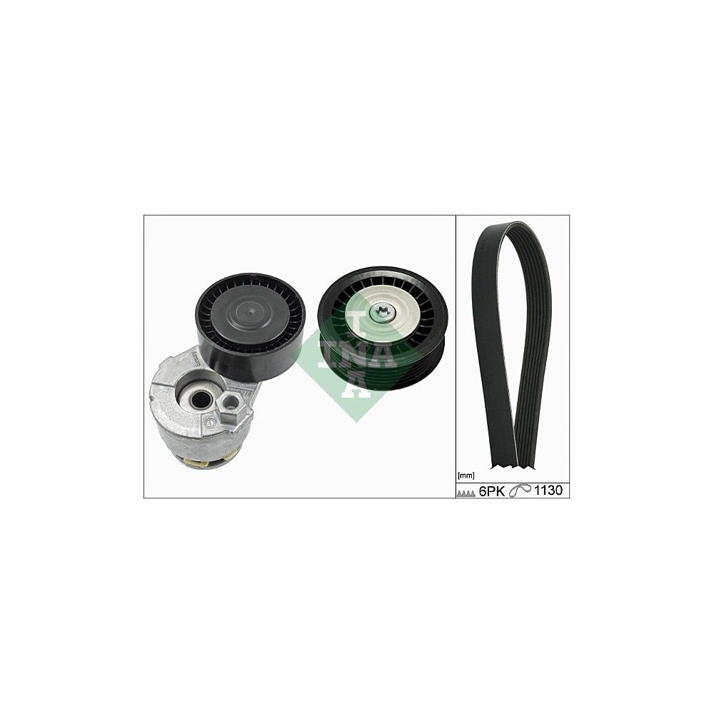 INA Keilrippenriemensatz 529016510