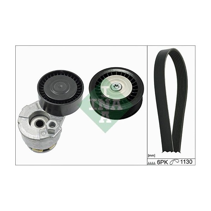 INA Keilrippenriemensatz 529016510