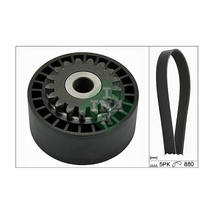 INA Keilrippenriemensatz 529017210