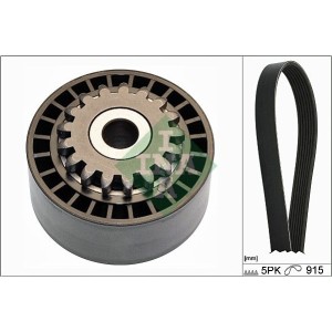 INA Keilrippenriemensatz 529017710