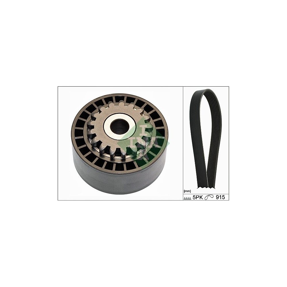 INA Keilrippenriemensatz 529017710